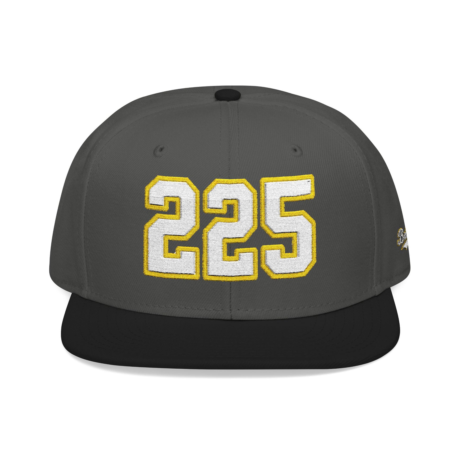 225 white embroidered snapback hat vintage varsity style – 318 Supply Co.