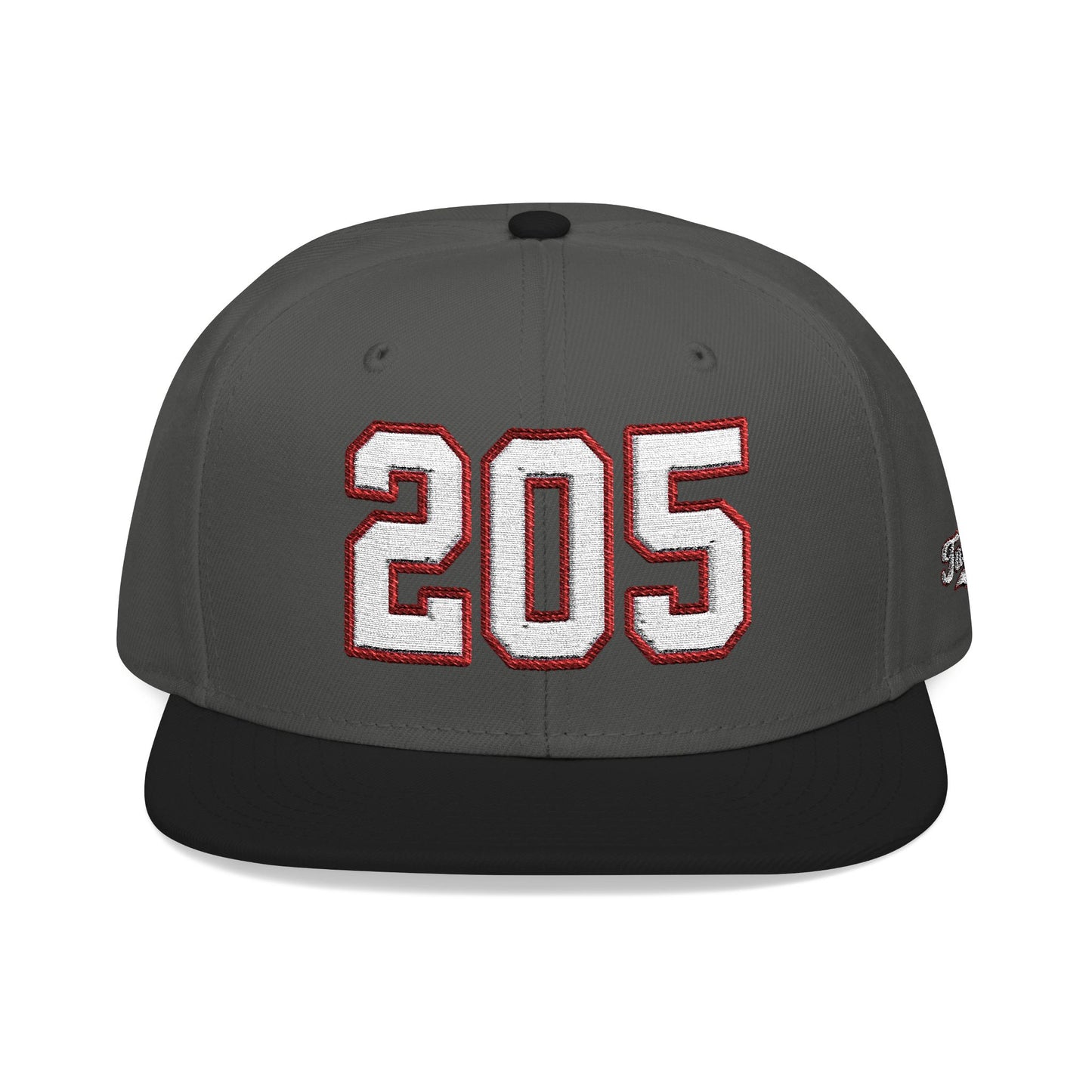 205 white embroidered snapback hat vintage varsity style – 318 Supply Co.