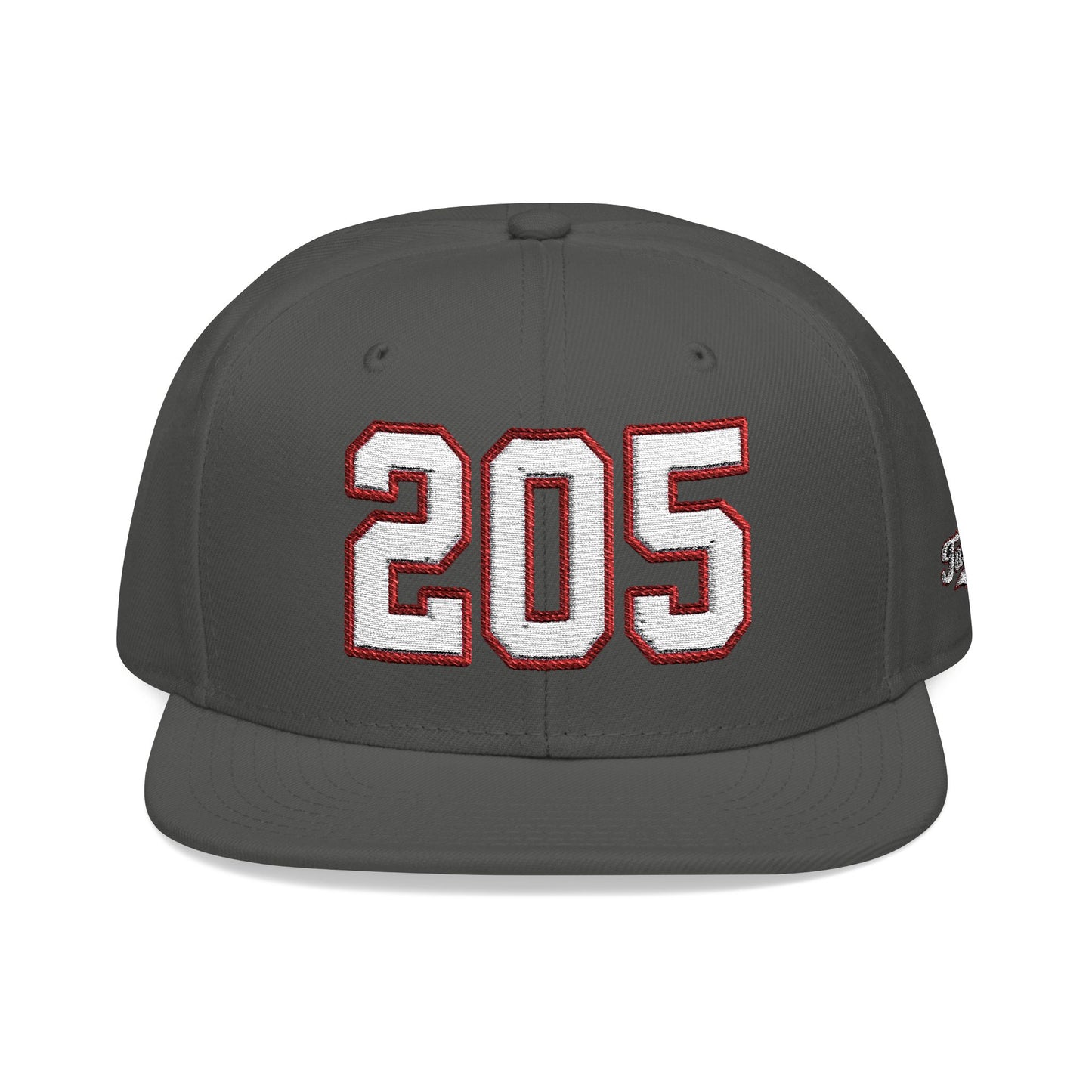205 white embroidered snapback hat vintage varsity style – 318 Supply Co.