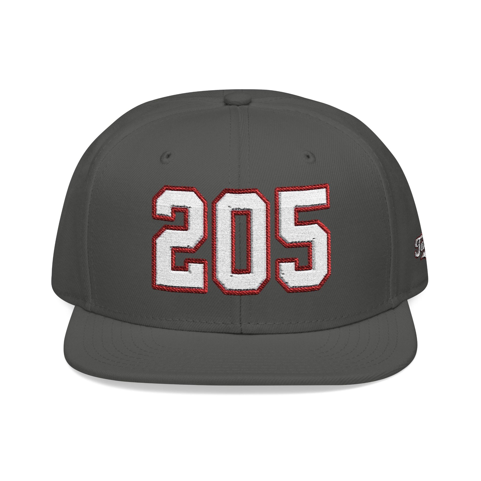 205 white embroidered snapback hat vintage varsity style – 318 Supply Co.