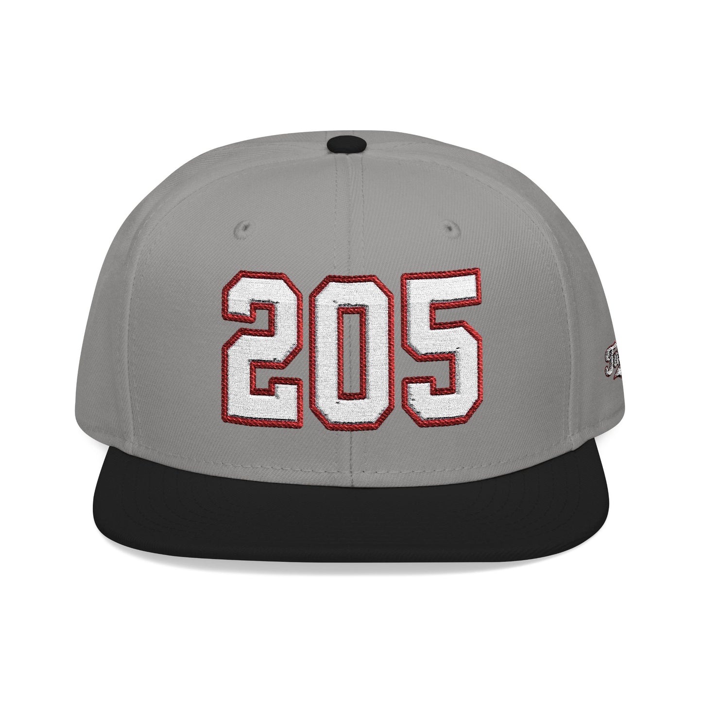 205 white embroidered snapback hat vintage varsity style – 318 Supply Co.